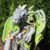 Profilbild von @juenrosalinde